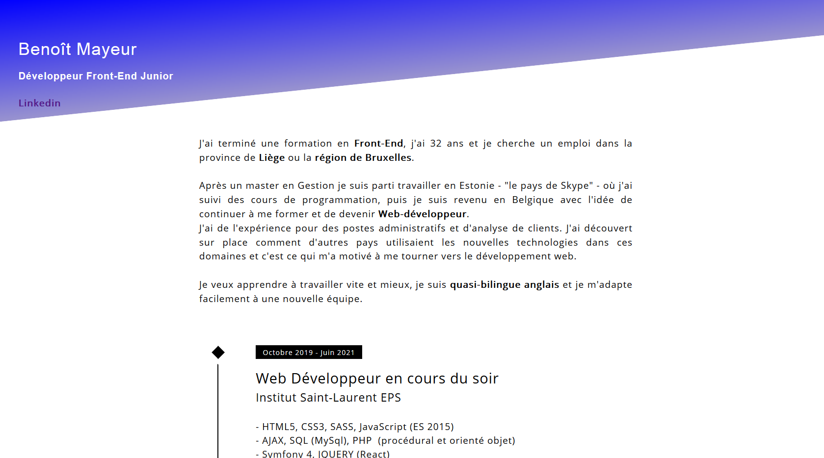 Lien vers mon CV en ligne